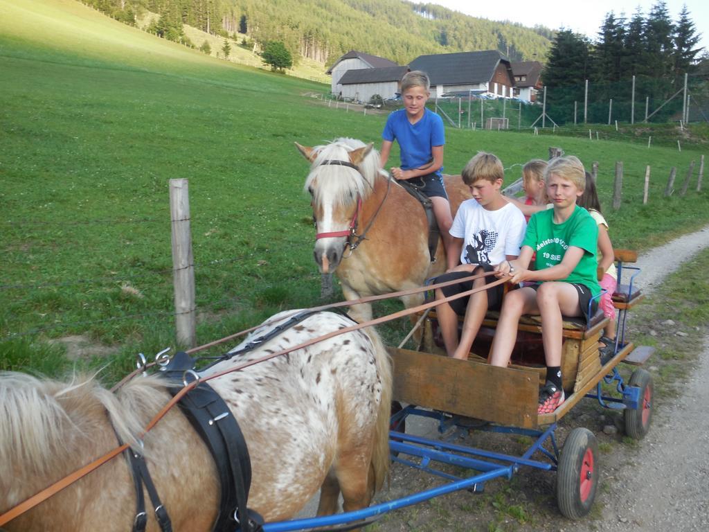 Hansalagut Mauterndorf  Exterior foto